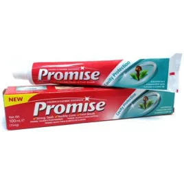 pasta-do-zebow-z-gozdzikami-promise-dabur-100ml