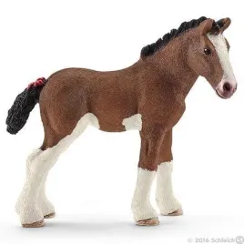 zrebie-rasy-clydesdale
