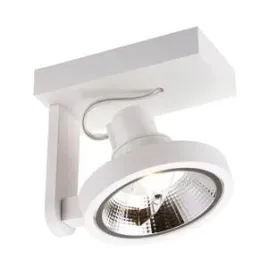 spot-lampa-sufitowa-master-reflektor-do-salonu-bialy