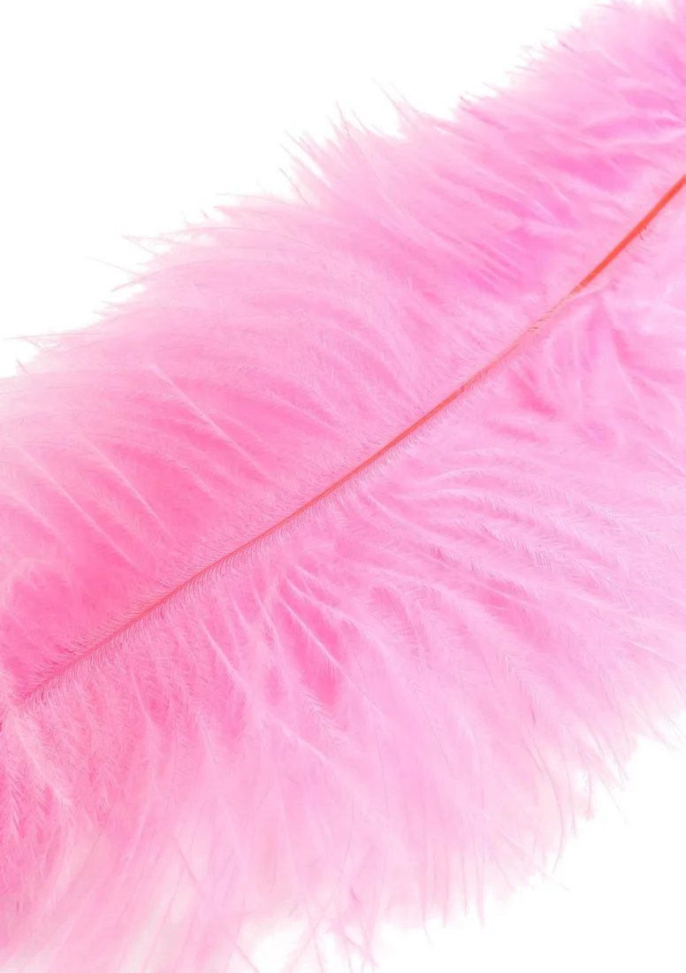 double-feather-tickler-pink-waga-z-opakowaniem-0-04-kg