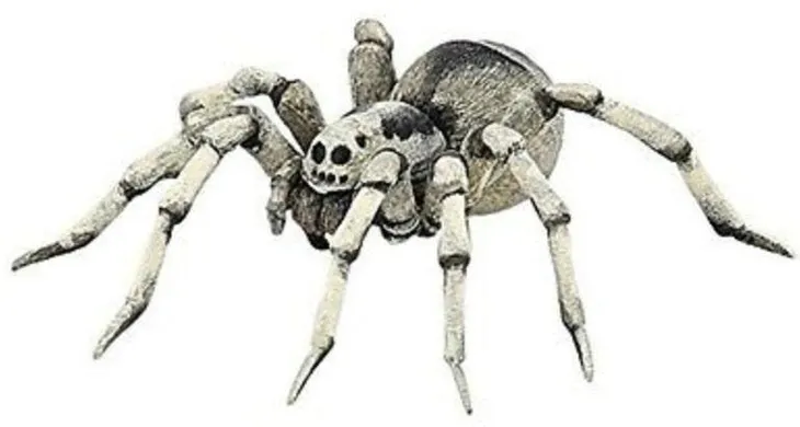 tarantula