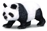 panda-wielka
