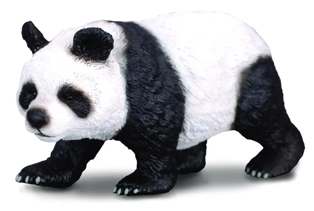 panda-wielka