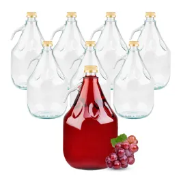 8x-balon-dama-gasior-do-wina-nalewek-moszczu-3l-na-wino-nalewki-cydr-soki