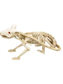 dekoracja-kosciotrup-szkielet-szczura-halloween