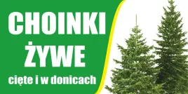 baner-reklamowy-sprzedaz-choinek-bch1-laminowany-100x200-cm