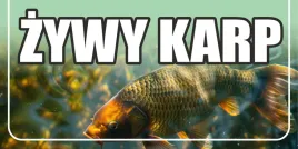 baner-reklamowy-sprzedaz-karpia-bk4-laminowany-200x100cm