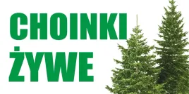baner-reklamowy-sprzedaz-choinek-bch4-laminowany-100x200cm