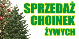 baner-reklamowy-sprzedaz-choinek-bch3-laminowany-200x100cm