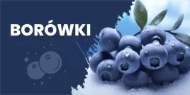 baner-reklamowy-borowki-b2-laminowany-200x100-cm