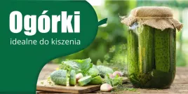 baner-reklamowy-ogorki-og1-laminowany-200x100-cm