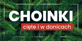 baner-reklamowy-sprzedaz-choinek-bch5-laminowany-200x100cm