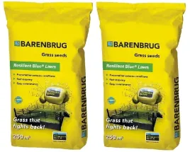 trawa-nasiona-barenbrug-resilient-blue-10kg-uniwersalna-sportowa-rozlogowa