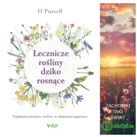 lecznicze-rosliny-dziko-rosnace-najskuteczniejsz