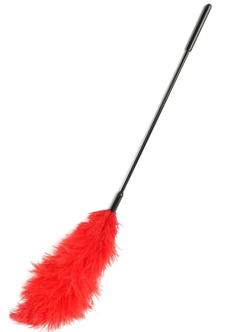 double-feather-tickler