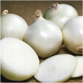cebula-biala-avalon-lagodna-w-smaku-nasiona-3-g