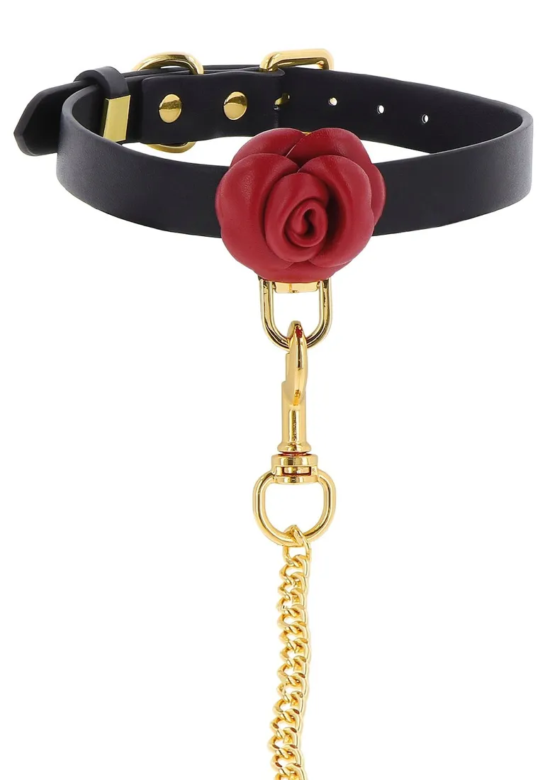 wild-roses-collar-and-leash