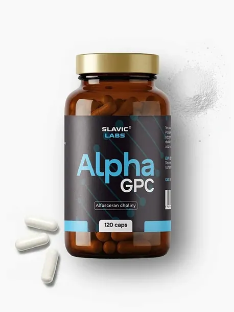 Alpha GPC Alfosceran choliny 120 kaps Slavic Labs