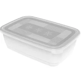 pojemnik-do-mrozenia-rotho-freeze-37l