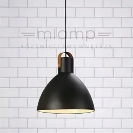 lampa-wiszaca-eagle-106550-markslojd-metalowa-oprawa-zwis-kopula-czarna