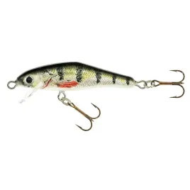 wobler-holo-select-gelon-60cm-f-ok