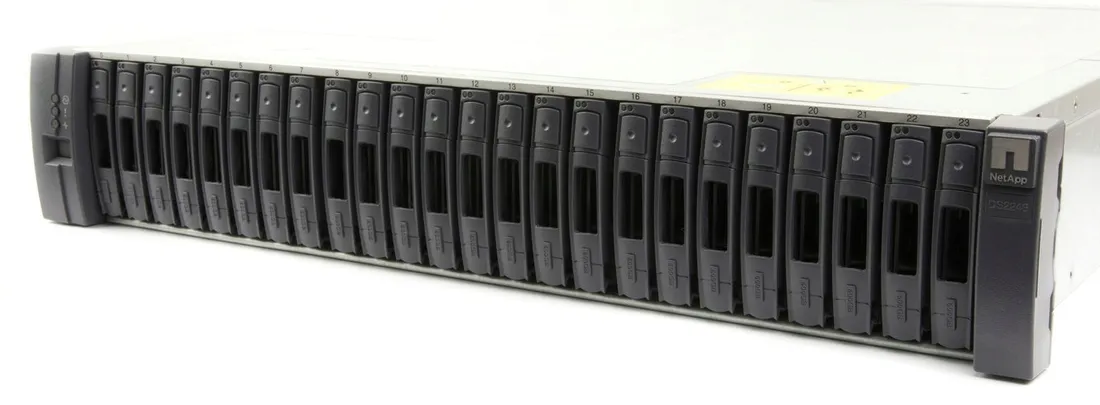 netapp-ds2246