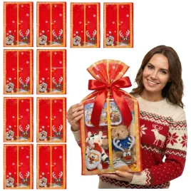 woreczki-celofanowe-prezentowe-40x25-swiateczne-mikolaj-10szt-worek-celofan