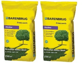 trawa-nasiona-barenbrug-10kg-dekoracyjna-reprezentacyjna-shadow-cien-slonce