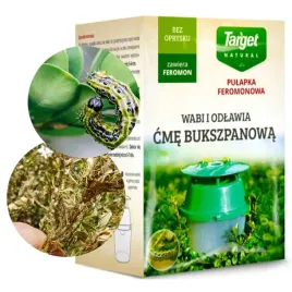 target-pulapka-feromonowa-na-cme-bukszpanowa-eko
