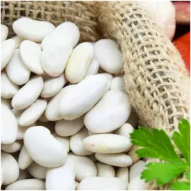 fasola-zwykla-karlowa-aura-na-suche-nasiona-40-g