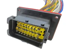 wtyczka-24pin-fci-sterownika-komputera-peugeot-renault-psa-lampy