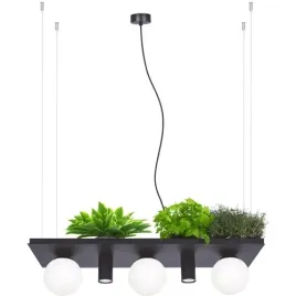lampa-wiszaca-plant-shelf-5555-zumaline-polka-na-rosliny-kule-czarne-biale