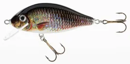 wobler-jaxon-holo-select-karas-11cm-f-w-1szt