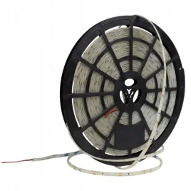 eco-light-tasma-led-ec79025-2835-60pcs-m-4000k-240w-12v-ip20-neutral-50m