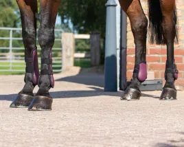 ochraniacze-dla-konia-qhp-tendon-komplet-na-kolki-bordowe-full