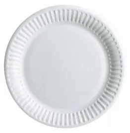 talerzyki-papierowe-talerze-bio-eko-24cm-100szt