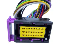 wtyczka-24pin-fci-sterownika-komputera-peugeot-renault-psa-lampy