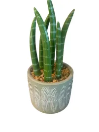 sztuczny-kwiat-w-doniczce-sanseveria-19-cm