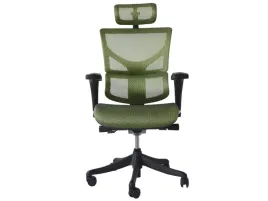 fotel-ergonomiczny-biurowy-ergofly-sail-t-05-green
