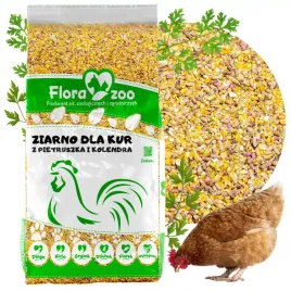 pasza-z-pietruszka-kolendra-karma-ziarno-witaminy-dla-kur-niosek
