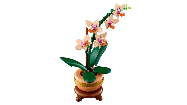 lego-botanical-collection-mala-orchidea-w-doniczce-10343-bohater-brak