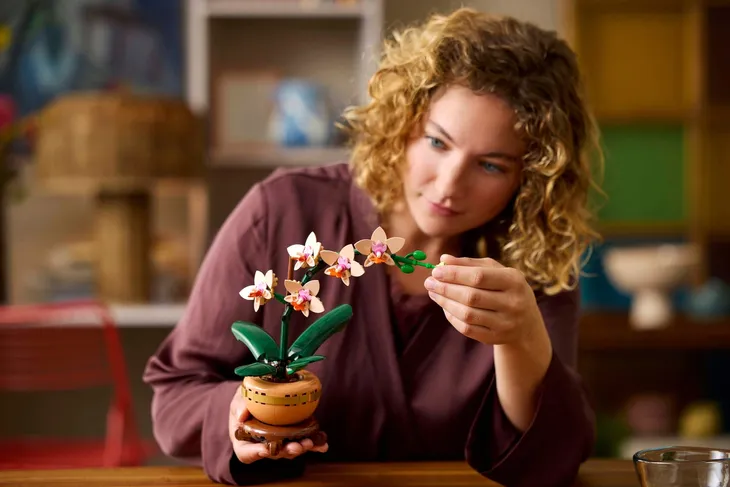 lego-botanical-collection-mala-orchidea-w-doniczce-10343-certyfikaty-opinie-atesty-ce