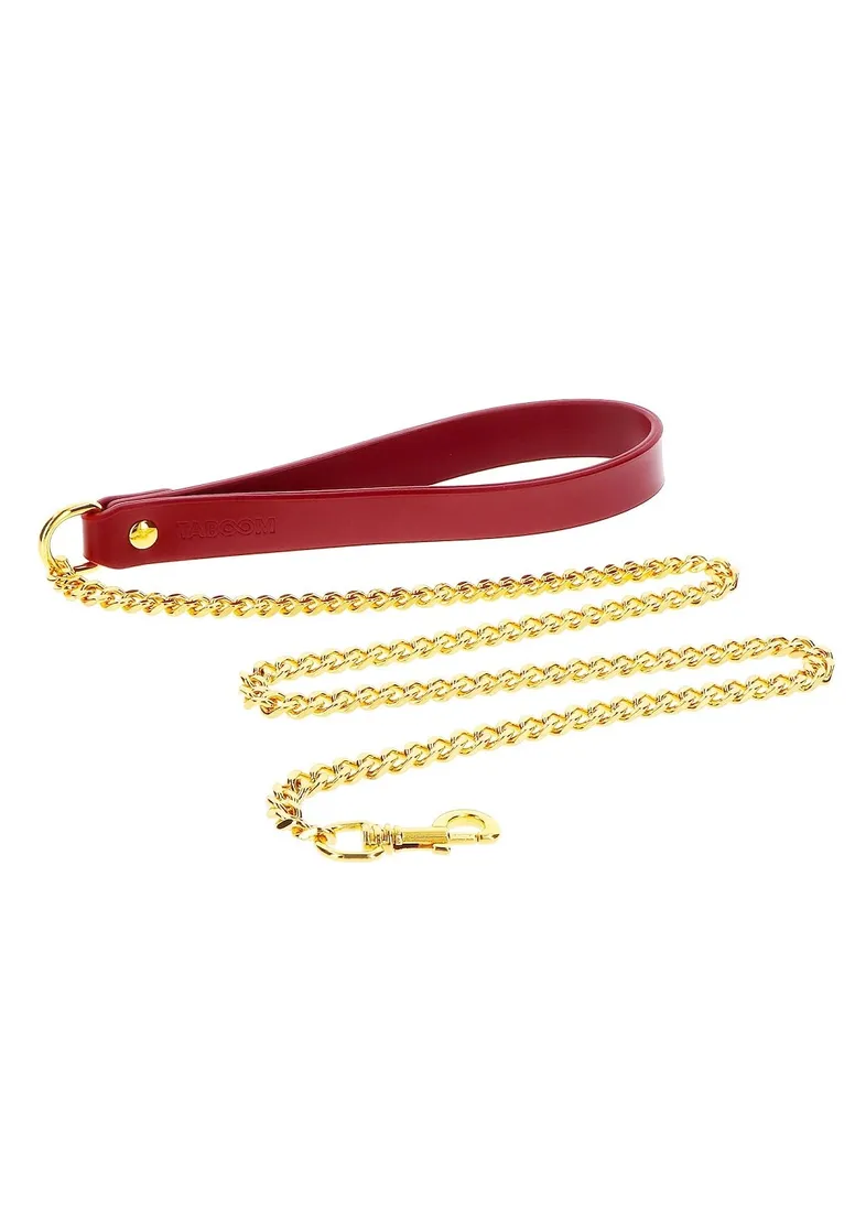 chain-leash-chain-leash