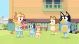 bluey-the-videogame-switch-stan-nowy