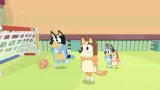 bluey-the-videogame-switch-rodzaj-wydania-podstawa