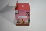 nintendo-talking-flower