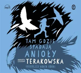 tam-gdzie-spadaja-anioly-dorota-terakowska