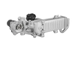 modul-agr-borgwarner-710861d-1