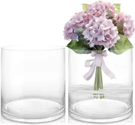 2x-wazony-szklane-cylindryczne-20cm-2-sztuki-przezroczyste