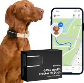 2x-lokalizator-gps-dla-psa-sledzenie-w-czasie-rzeczywistym-monitoring